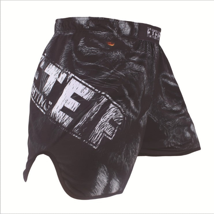 MMA Boxing Shorts