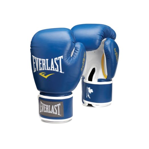 Professional Boxing Gloves