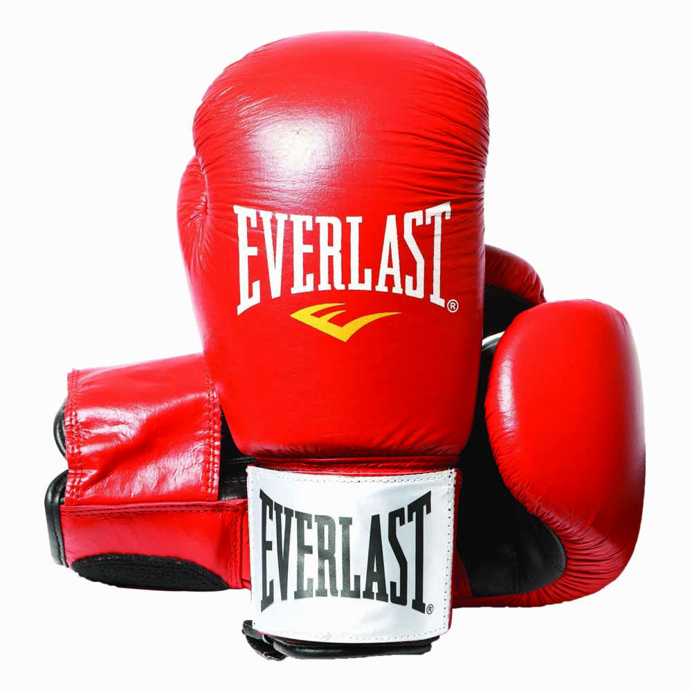 Professional Boxing Gloves